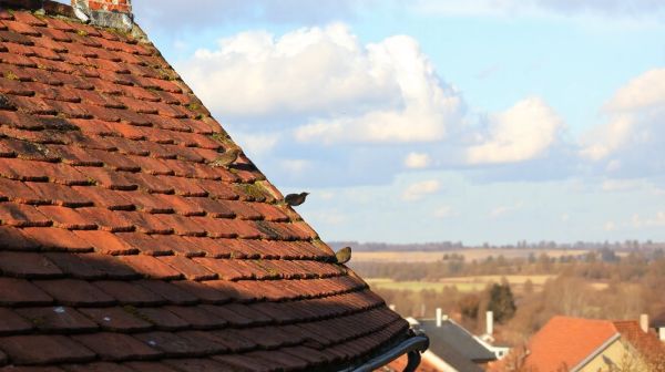 Top conseils pour une toiture réussie avec Breizh Toit